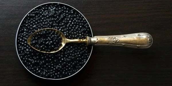 KALUGA BLACK CAVIAR 0.5lb